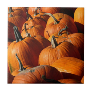 Pumpkins Tile