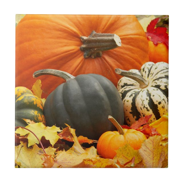 Pumpkins Tile Trivet (Front)