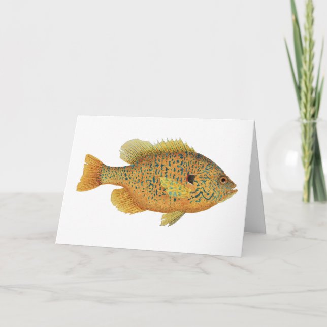 Pumpkinseed Sunfish Watercolor Card (Front)
