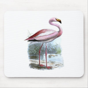 Puna Flamingo Vintage Illustration Mouse Pad