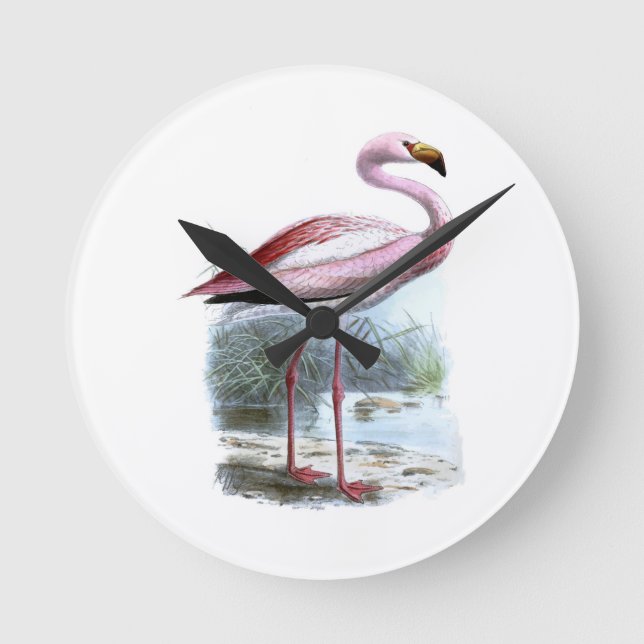 Puna Flamingo Vintage Illustration Round Clock (Front)