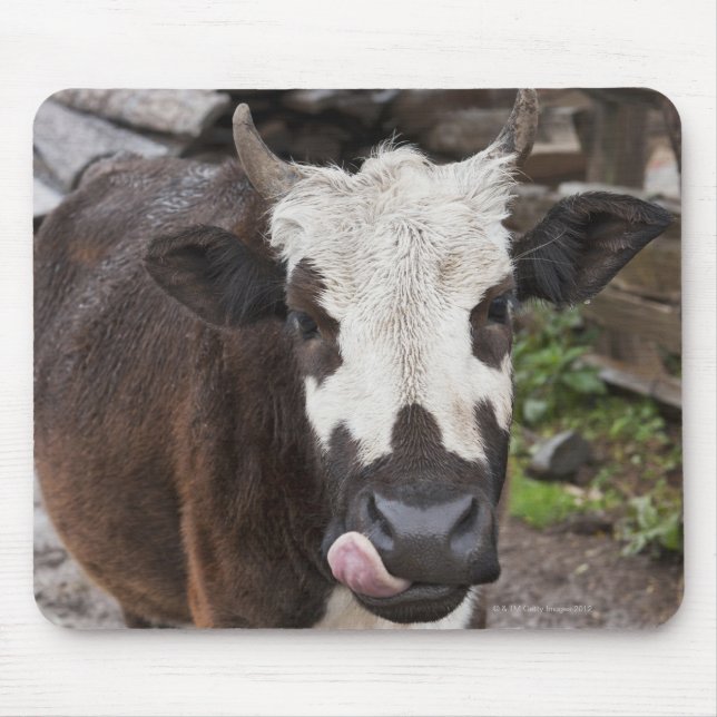 punakha district bhutan mouse pad (Front)