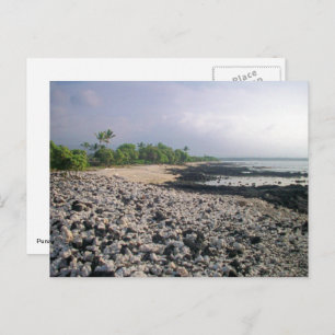 Punaluʻu Black Sand Beach Hawaii Big Island Postcard