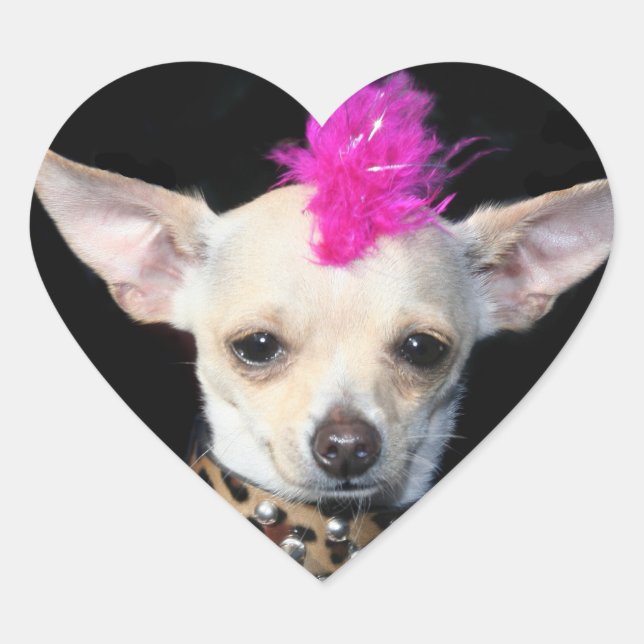 Punk Chihuahua Stickers (Front)