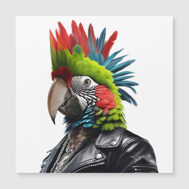 Punk Parrot (Front)