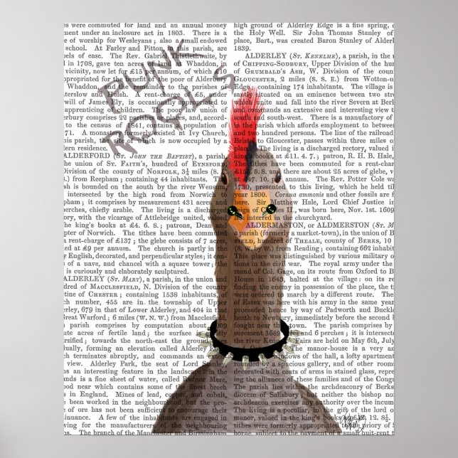 Punk Rock Goose Poster (Front)