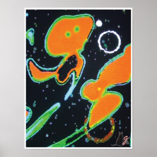 Punkin KC Image Poster