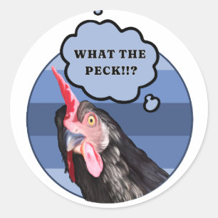 Punny Chicken Face What the Peck?! Classic Round Sticker