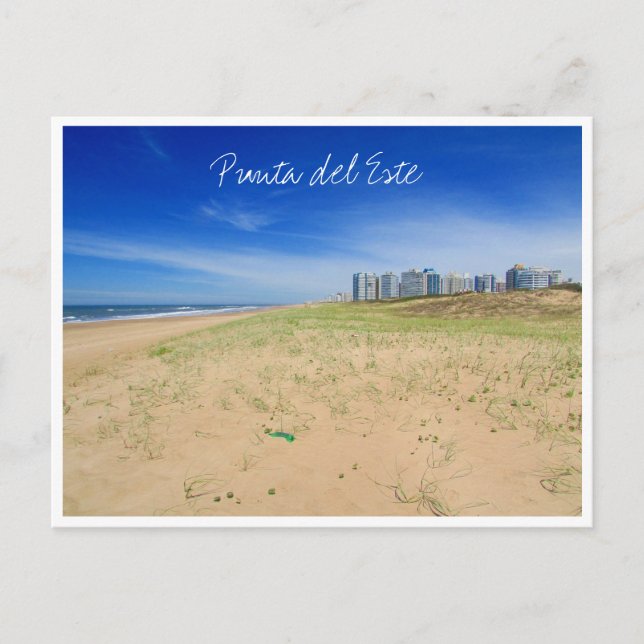 punta beach view postcard (Front)