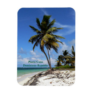 Punta Cana, Dominican Republic, coconut palm tree Magnet