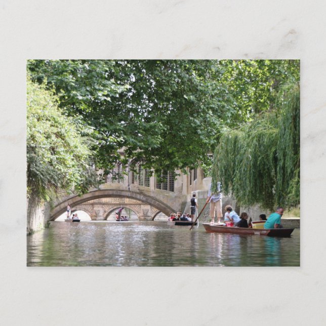 Punting in Cambridge Postcard (Front)