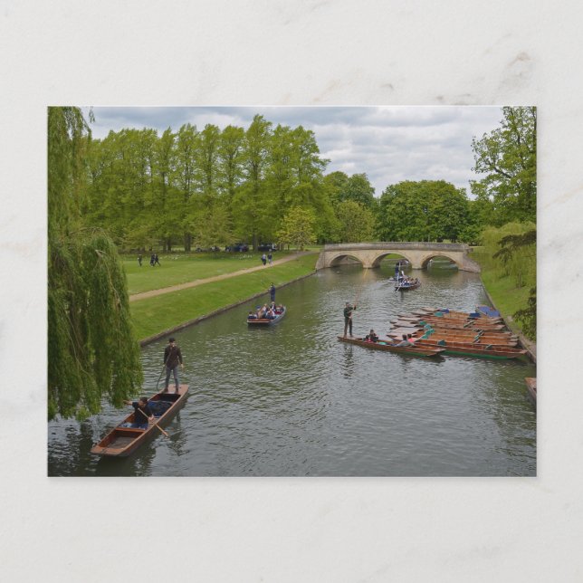Punting On The River Cam Postcard (Front)