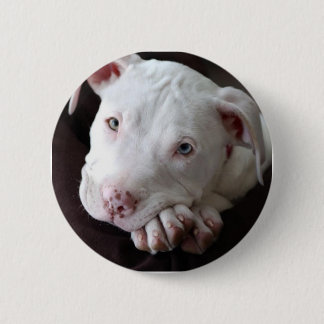 Pup 6 Cm Round Badge