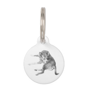 Pup Fun Tag