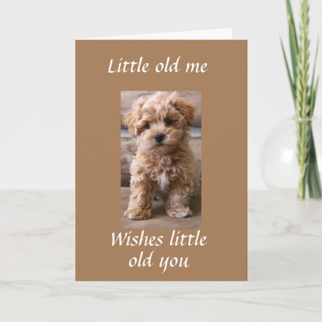 PUP HELPS SAY **HAPPY BIRTHDAY TWIN** CARD (Front)