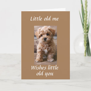 PUP HELPS SAY **HAPPY BIRTHDAY TWIN** CARD