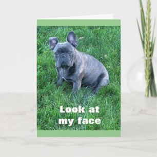 PUP HELPS SAY **HAPPY BIRTHDAY TWIN** CARD