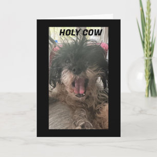 PUP IS BAFFLED-HOW DID YOU TURN "70" CARD