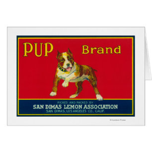 Pup Lemon LabelSan Dimas, CA