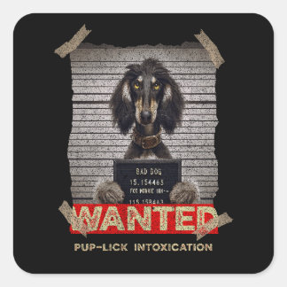 Pup-Lick Intoxication: The Elegant Afghan Hound's  Square Sticker