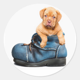 Pup 'n Boots Classic Round Sticker