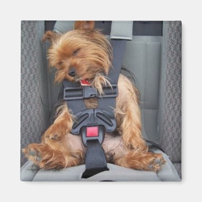 pup seatbelt magnet (Front)