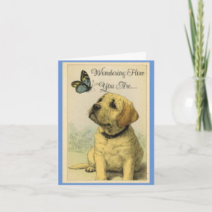Pup With Butterfly  Greeting Card
