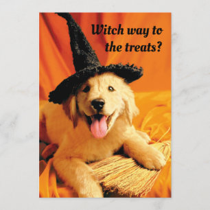Pup With Witch Hat and Broom Invitation