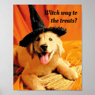 Pup With Witch Hat and Broom Poster
