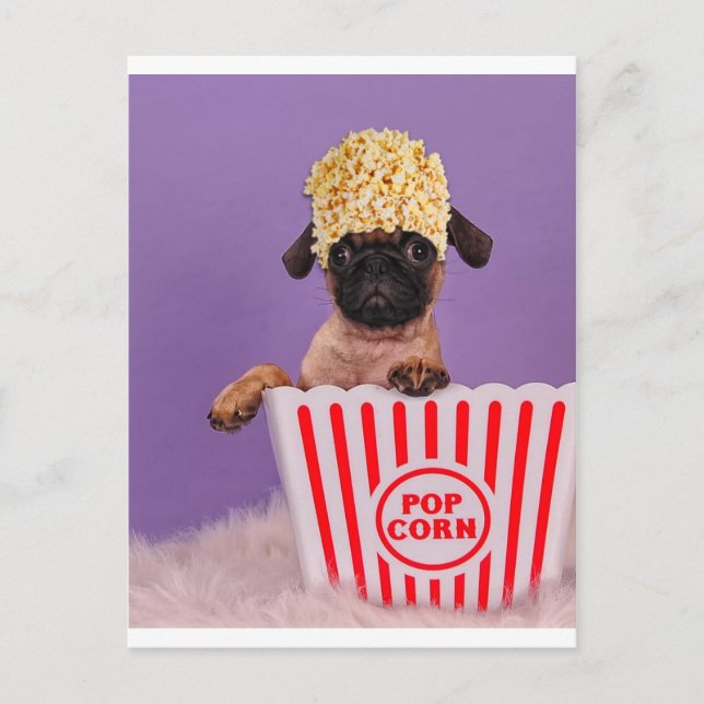 Pupcorn anyone? postcard (Front)