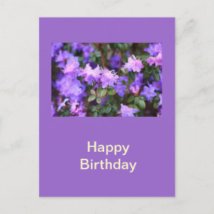 puple azalea flowering bush postcard