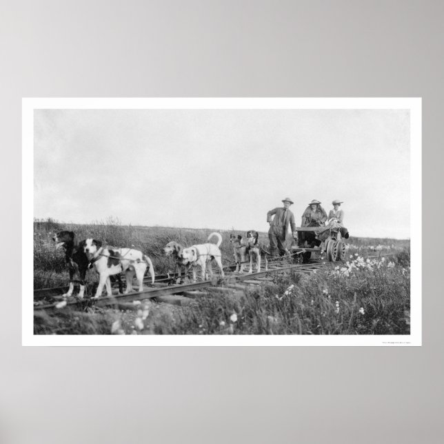 Pupmobile Train Nome, Alaska 1906 Poster (Front)