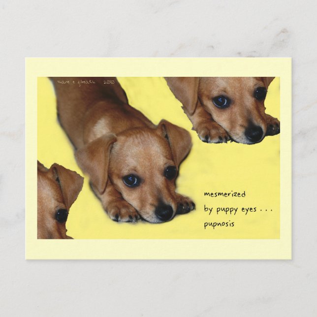 Pupnosis Haiku Art Postcard - Collectable Postcard (Front)