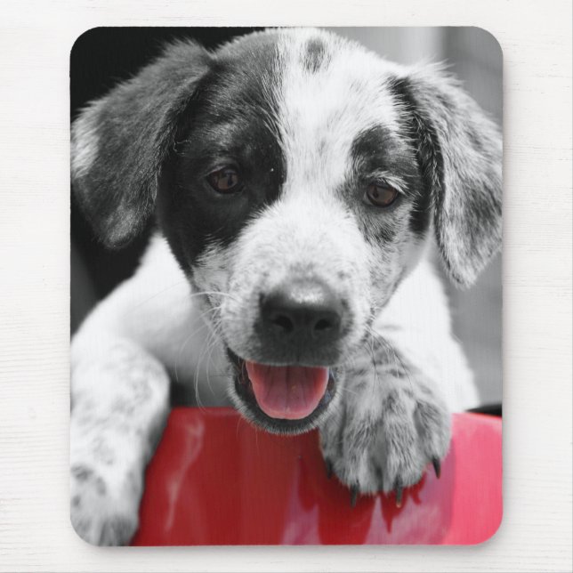 Pupp Mouse Pad (Front)