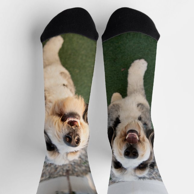 Pupper Socks (Top)