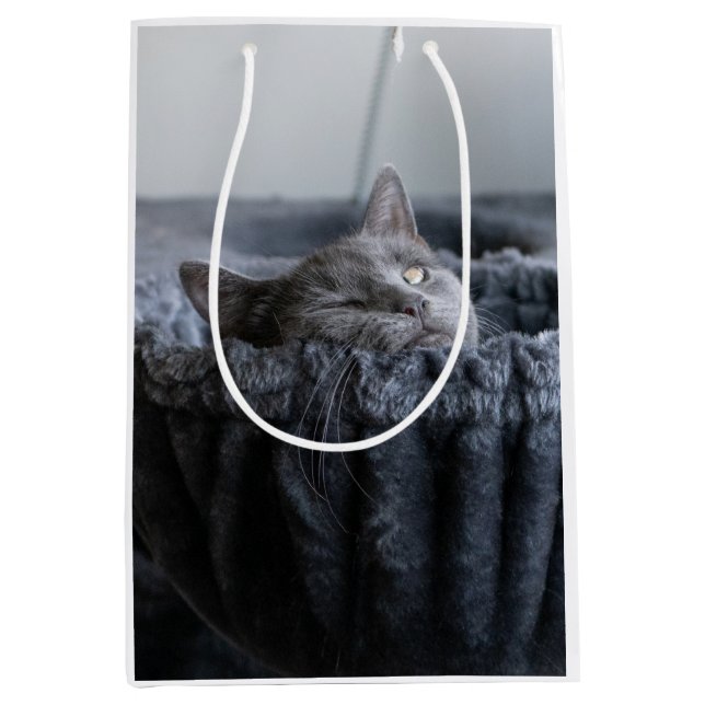 Pupper Socks Medium Gift Bag (Front)