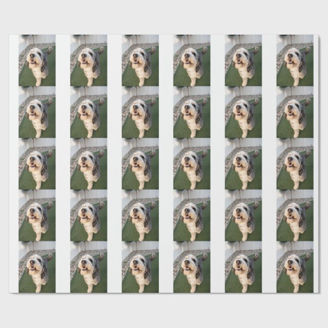 Pupper Socks Wrapping Paper (Flat)