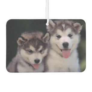 Puppies Air Freshener