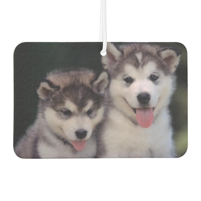 Puppies Air Freshener (Front)