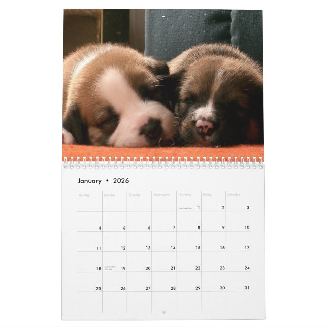 Puppies Calendar (Jan 2026)