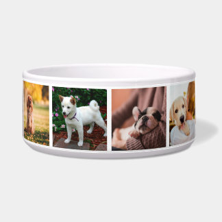 Puppies Dogs Instagram Photos