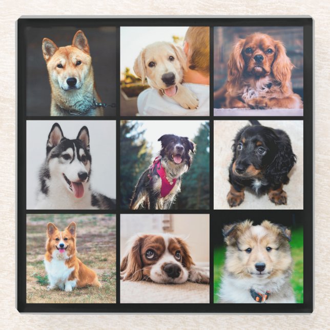 Puppies Dogs Instagram Photos Glass Coaster (Front)