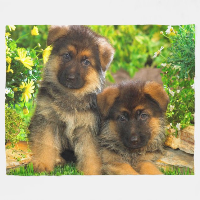 Puppies Fleece Blanket (Front (Horizontal))