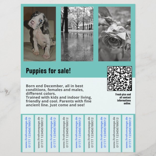 puppies for sale flyer template QR code (Front)