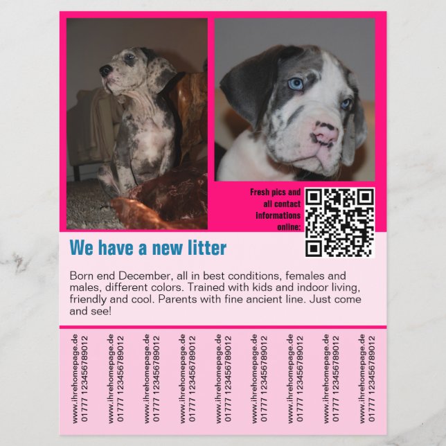 puppies for sale flyer template QR code (Front)