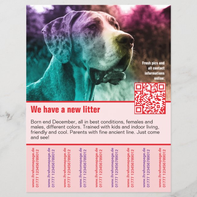 puppies for sale flyer template QR code (Front)
