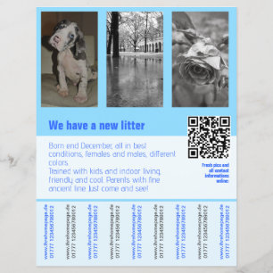 puppies for sale flyer with QR code