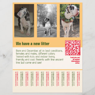 puppies for sale flyer with QR code orange