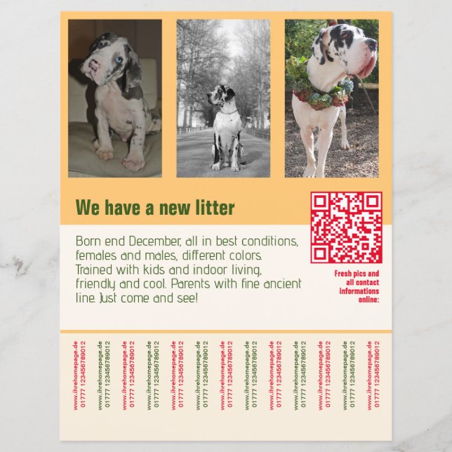 puppies for sale flyer with QR code orange (Front)