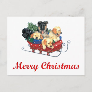PUPPIES IN SLED WITH TREE FOR CHRISTMAS POSTCARD